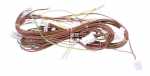 Hisense Gorenje Harness - 898384 Wiring Harness Bcst Dw60 Assembly