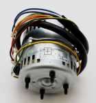 Motor - 70056123 Motor [Candy Hoover]