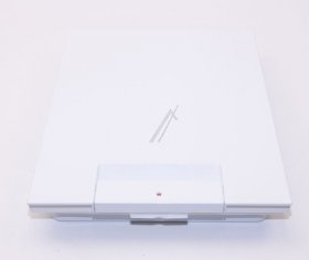 Freezer Case Flap - 00355752 Door-freezer Compartment [Bosch Siemens]