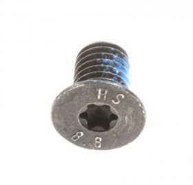 Atag Screw - 72473900 16206 Screw Scharn doorz 5 0x8 0